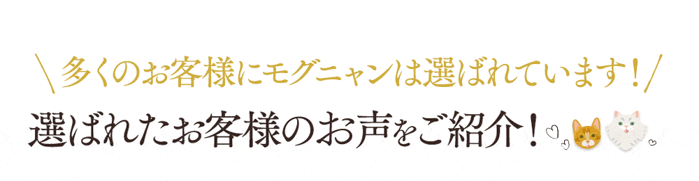 多くのお客様にモグニャンは選ばれています!選ばれたお客様の声をご紹介!